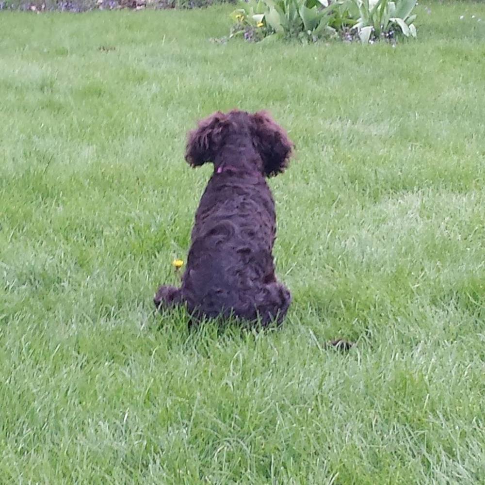 Meet your Posher, Jennifer